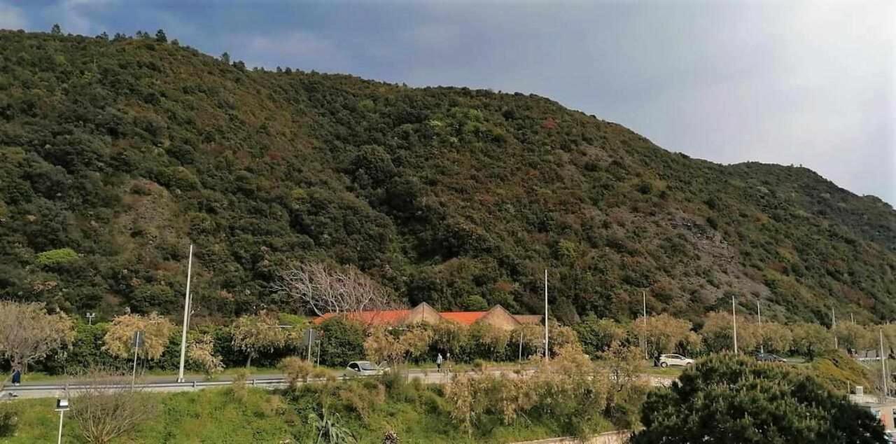 Maremosso Apartments Sestri Levante Dış mekan fotoğraf